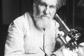 Век после Мечникова