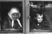 Отцы и дети, или учит ли Яйцо курицу