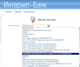 «До следующего Нового года я могу не дожить…»