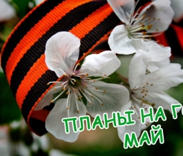 Планы на год (май)