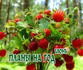 Планы на год. ИЮНЬ