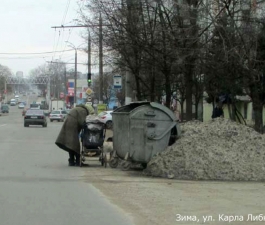 Новые участники дорожного движения