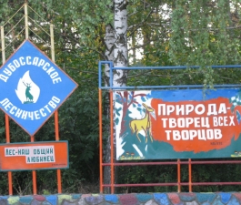  Один день с лесничим. В лес да по дрова