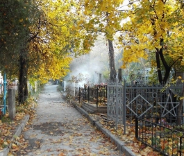 Сколько стоит... умереть?